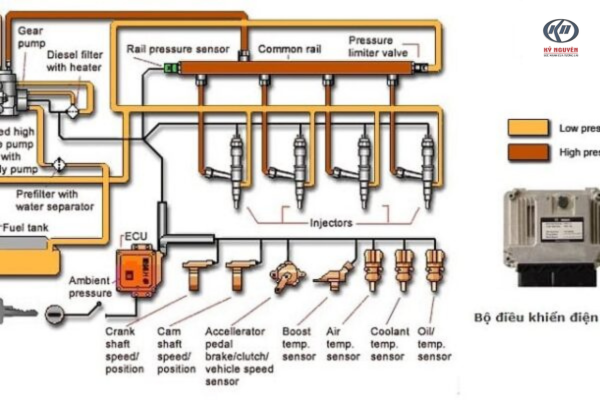 hệ thống phun nhiên liệu Common Rail